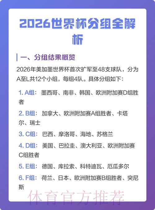 2026年世界杯赛事比分深度解析